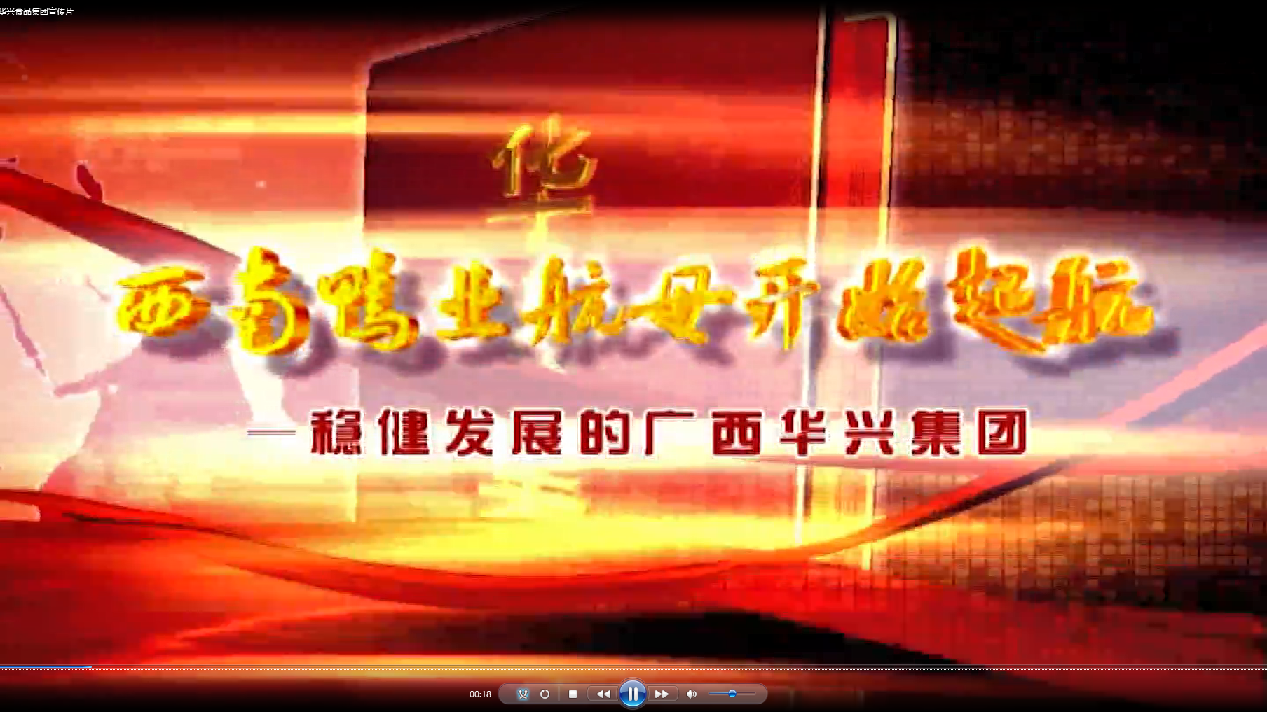 廣西華興食品集團(tuán)宣傳片